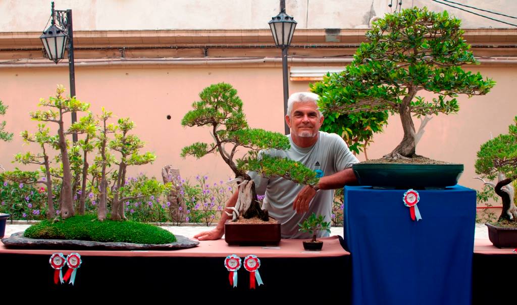 Jorge Luis Guerra Pensado: Cuba  Bonsai Angels